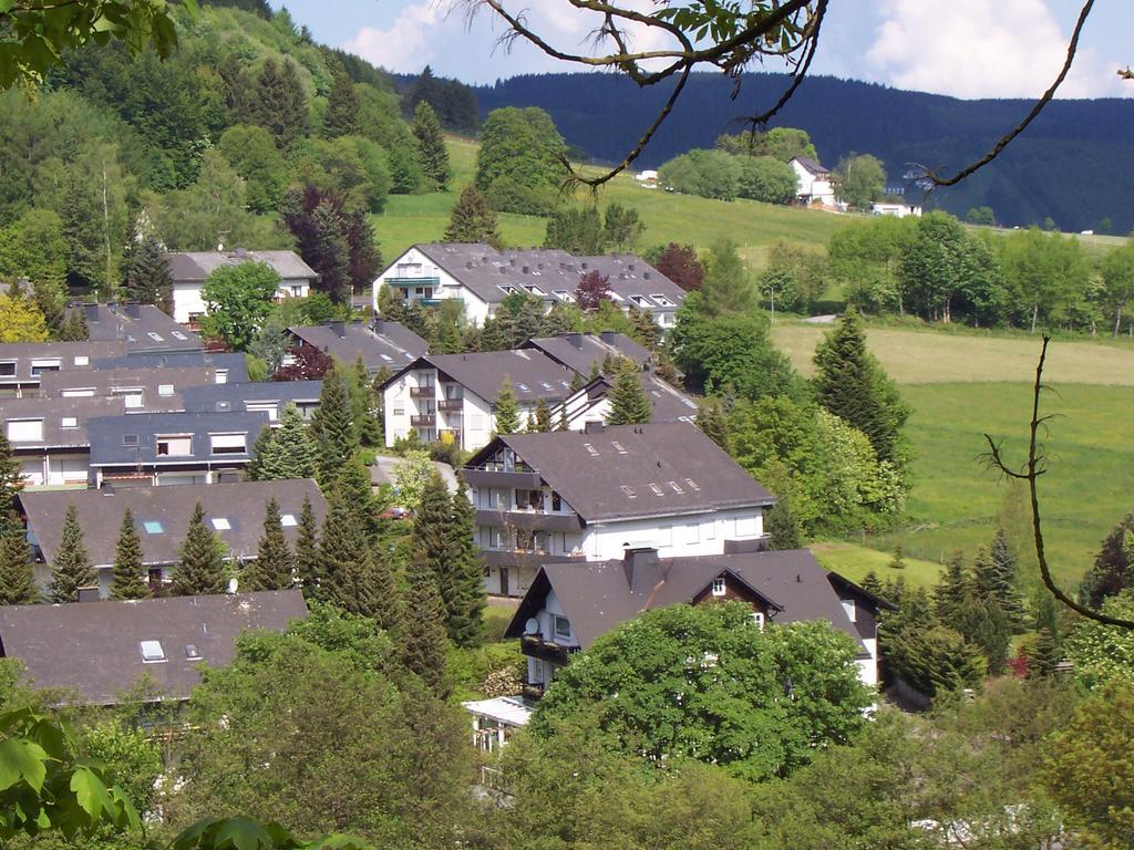 Wietheger'S Ferienwohnungen Gaestehaus Strycktal II Willingen  Esterno foto